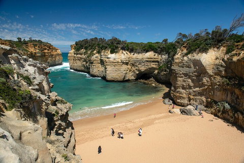 LGBT+ Friendly 12-Hour Great Ocean Road Private Tour - Accommodation VIC 5