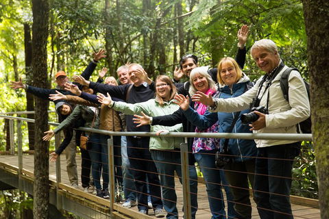 All Inclusive Blue Mountains Small-Group Day Trip From Sydney - Accommodation VIC 5