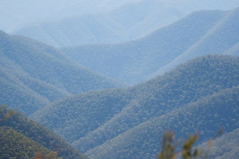 From The Mountains To The Bay - 4 Day Rediscovery Private Tour - Accommodation VIC 1