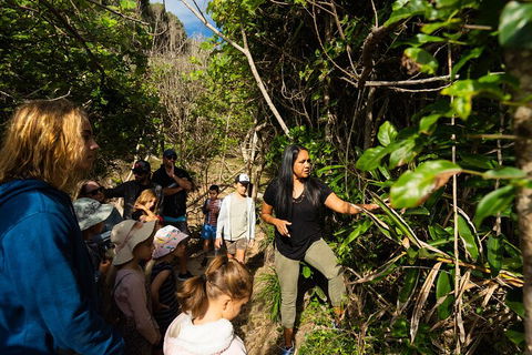 Cape Byron Aboriginal Tour - Accommodation VIC 4