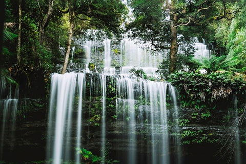 Mt Field National Park And Russell Falls From Hobart - Accommodation VIC 0