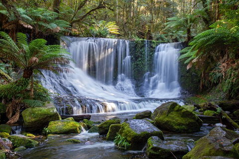 Mt Field National Park And Russell Falls From Hobart - Accommodation VIC 5