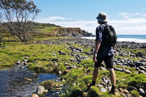 Half Day Guided Small Group Walk - Accommodation VIC 0