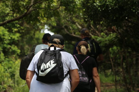 Half Day Guided Small Group Walk - Accommodation VIC 4