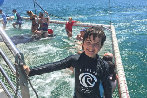 Port Stephens Private Tour From Sydney, With Dolphin/ Whale Cruise Options - Accommodation VIC 0