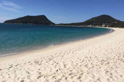 Port Stephens Private Tour From Sydney, With Dolphin/ Whale Cruise Options - Accommodation VIC 2