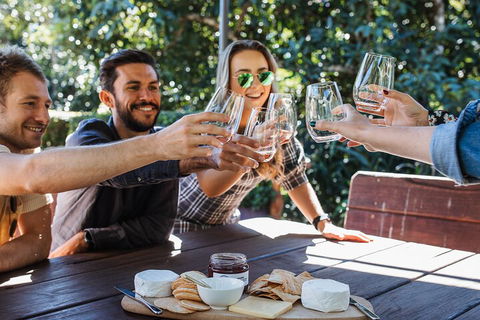 Full-day Wine-Tasting And Tamborine Mountain Tour With Lunch - Accommodation VIC 0