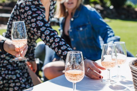 Full-day Wine-Tasting And Tamborine Mountain Tour With Lunch - Accommodation VIC 1