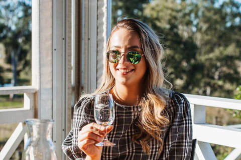 Full-day Wine-Tasting And Tamborine Mountain Tour With Lunch - Accommodation VIC 3