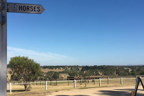 Legends & Champions Tour - Accommodation VIC 5