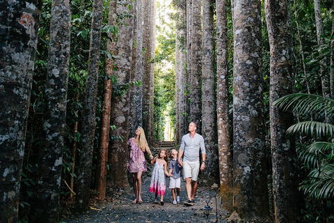 The Original Day Tour To Paronella Park, Lake Barrine And Millaa Millaa Falls - Accommodation VIC 1