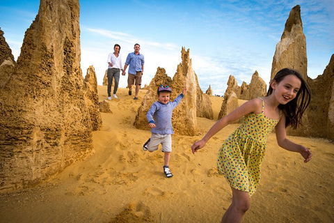 Full-Day Pinnacles Desert And Yanchep National Park Tour From Perth - Accommodation VIC 0