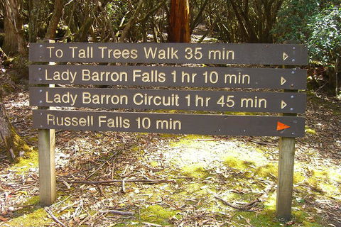 Mt Field National Park And Russell Falls From Hobart - Accommodation VIC 2