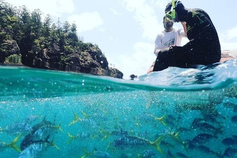 2 Night Small Group Whitsundays Sailing Adventure Aboard Mandrake - Accommodation VIC 5