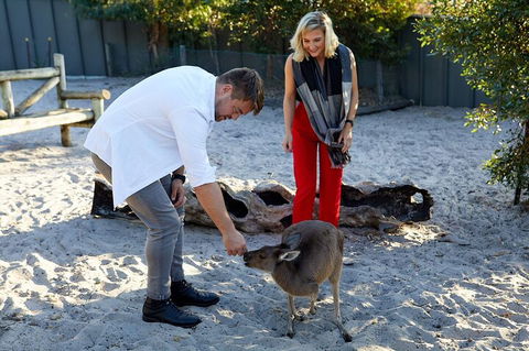 Albany's Whale Story - Accommodation VIC 1