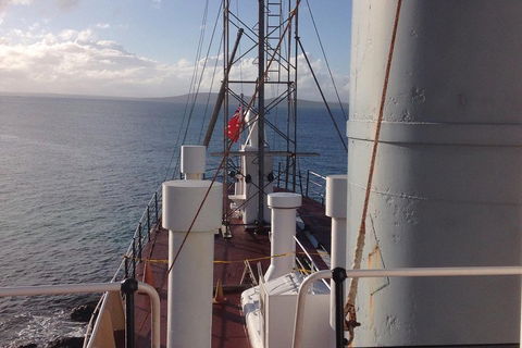 Albany's Whale Story - Accommodation VIC 2