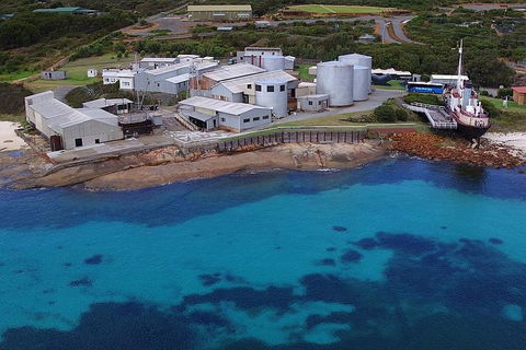 Albany's Whale Story - Accommodation VIC 4