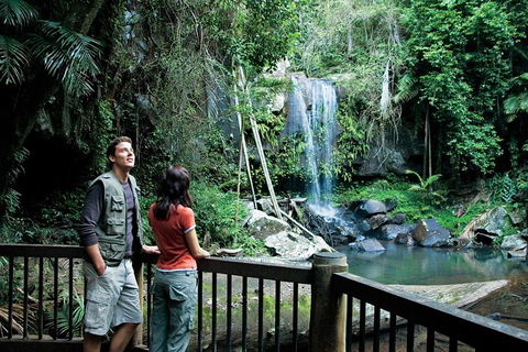 Full Day Small Group Luxury Tour To Tamborine Mountain - Accommodation VIC 4