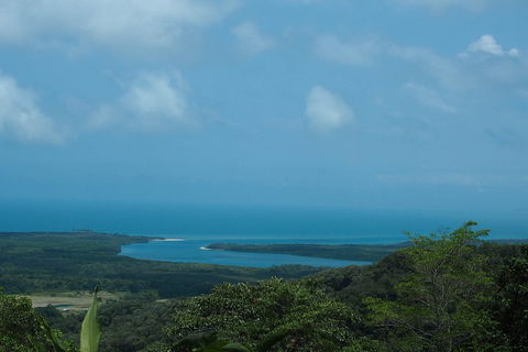 Cape Tribulation, Daintree Rainforest And Wildlife Tour - Accommodation VIC 1