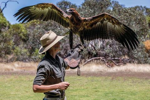One Day Kangaroo Island Sip & See Tour With Return Ferry Transfers From Adelaide - Accommodation VIC 0