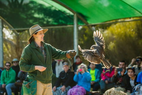 One Day Kangaroo Island Sip & See Tour With Return Ferry Transfers From Adelaide - Accommodation VIC 3