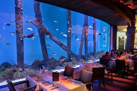 Cairns Aquarium And Small Group City Sightseeing Tour - Accommodation VIC 4