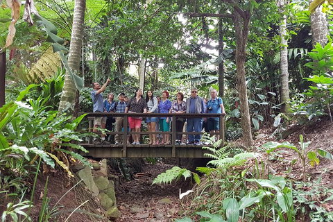 Cairns Shore Excursion: Cairns City Sights & Surrounds Tour - Accommodation VIC 1