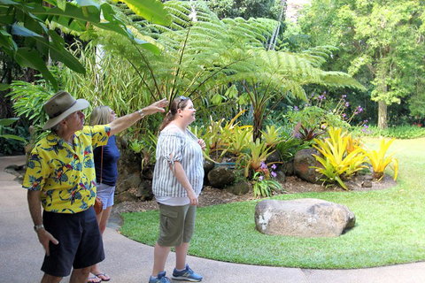 Cairns Shore Excursion: Cairns City Sights & Surrounds Tour - Accommodation VIC 4