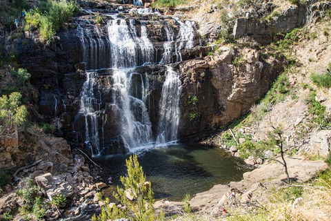 Great Ocean Road Grampians 3 Day National Park Tour Melbourne Roundtrip - Accommodation VIC 2