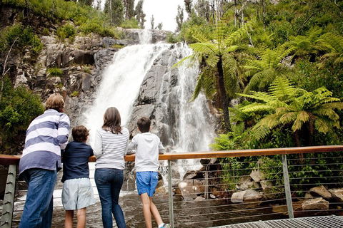 Melbourne Snow Trip To Lake Mountain With Chocolates Visit To A Waterfall - Accommodation VIC 3