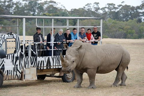Off-Road Safari At Werribee Open Range Zoo - Accommodation VIC 0