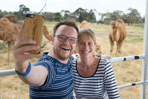 Off-Road Safari At Werribee Open Range Zoo - Accommodation VIC 1
