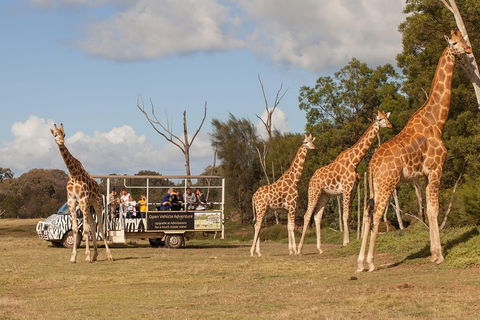 Off-Road Safari At Werribee Open Range Zoo - Accommodation VIC 3