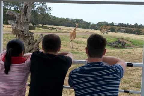 Off-Road Safari At Werribee Open Range Zoo - Accommodation VIC 4