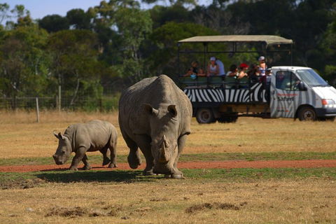 Off-Road Safari At Werribee Open Range Zoo - Accommodation VIC 5