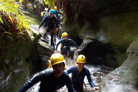Full-Day Canyoning Experience At Stunning Empress Canyon - Accommodation VIC 5