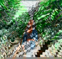 Yarra Valley Local Produce and Wine Tasting Tour