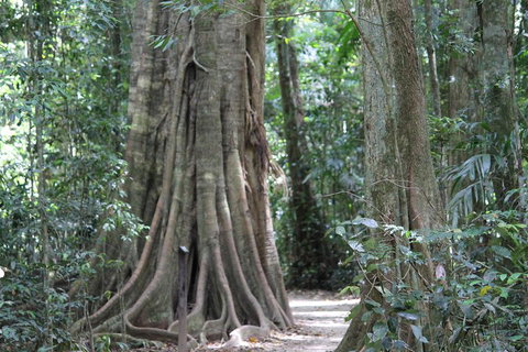 Noosa And Sunshine Coast Hinterland Day Trip From Brisbane - Accommodation VIC 3