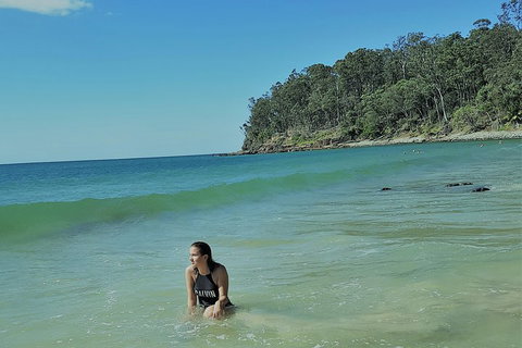 Noosa And Sunshine Coast Hinterland Day Trip From Brisbane - Accommodation VIC 4