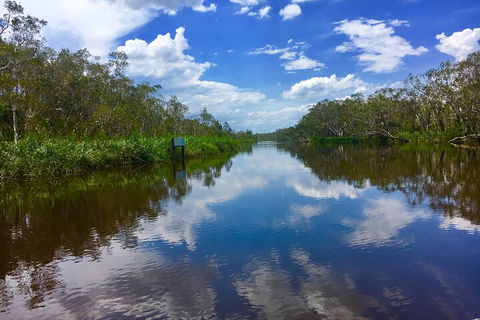 Noosa Everglades Serenity Cruise & Highlights Tour Inc. Lunch & Cruise - Accommodation VIC 0