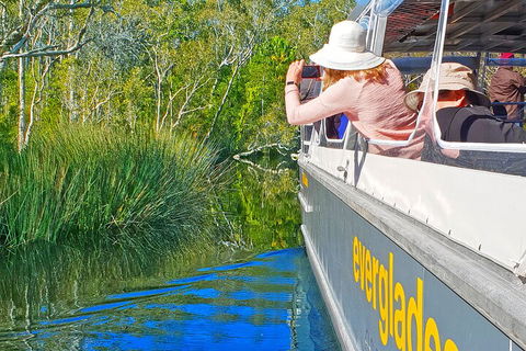 Noosa Everglades Serenity Cruise & Highlights Tour Inc. Lunch & Cruise - Accommodation VIC 2