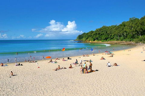 Noosa Everglades Serenity Cruise & Highlights Tour Inc. Lunch & Cruise - Accommodation VIC 4