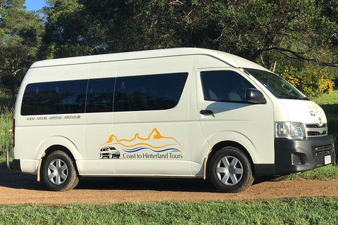 Noosa Everglades Serenity Cruise & Highlights Tour Inc. Lunch & Cruise - Accommodation VIC 5