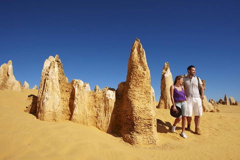 Pinnacles Day Trip From Perth Including Yanchep National Park - Accommodation VIC 0