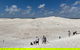 Pinnacles Day Trip From Perth Including Yanchep National Park - thumb 2