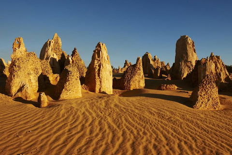 Pinnacles Day Trip From Perth Including Yanchep National Park - Accommodation VIC 5