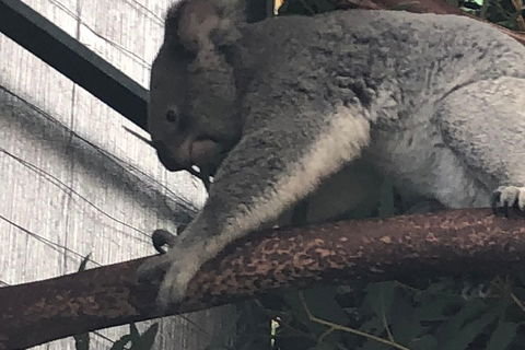 Perth Hills - Wildlife, Art & Gastronomy - Accommodation VIC 3