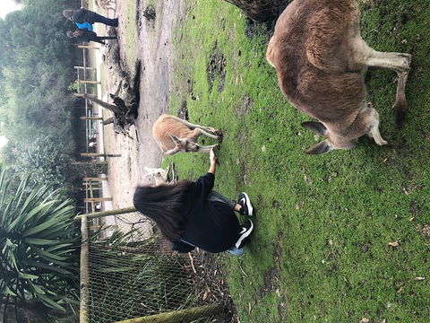 Perth Hills - Wildlife, Art & Gastronomy - Accommodation VIC 4