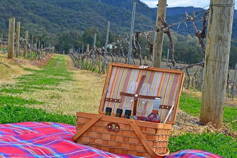 Private Hunter Valley And Gardens Day Trip From Sydney - Accommodation VIC 2