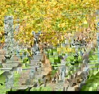 Margaret River Indulge and Discover Day Tour